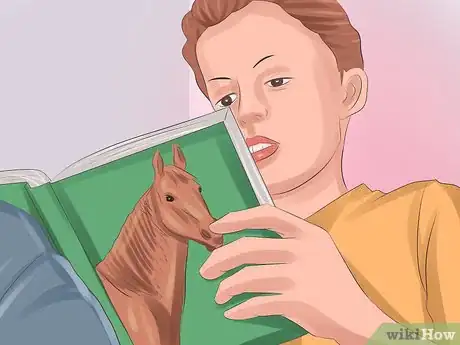 Imagen titulada Tame Your Horse or Pony Step 2