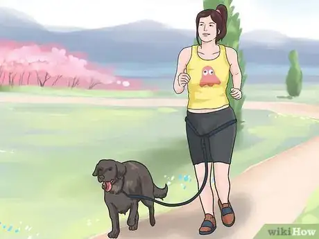 Imagen titulada Stop Your Dog from Eating Your Plants Step 14