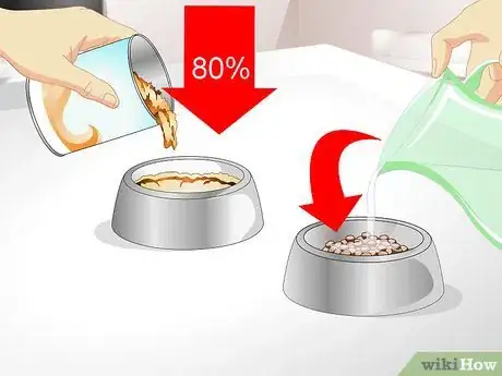 Imagen titulada Get a Sick Dog to Drink Step 6