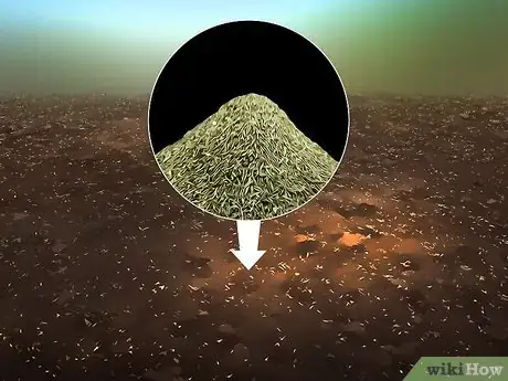 Imagen titulada Increase Nitrogen in Soil Step 8