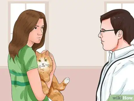 Imagen titulada Get Your Cat to Stop Hissing Step 4