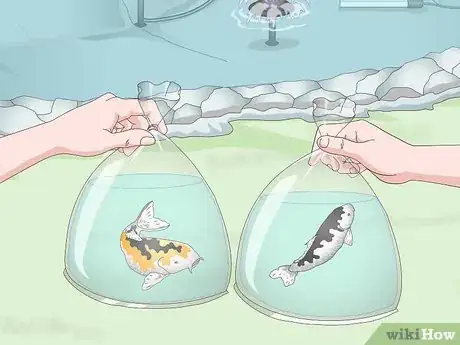 Imagen titulada Raise Koi Step 6