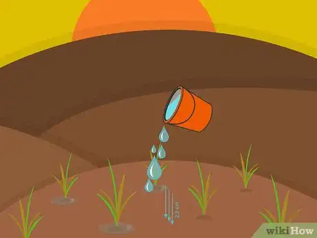 Imagen titulada Plant Narcissus Bulbs Step 14