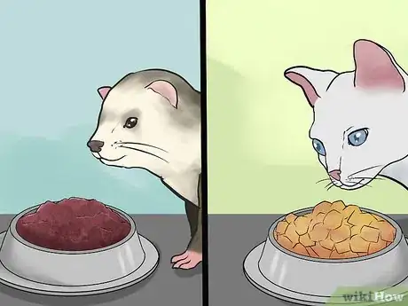 Imagen titulada Keep Ferrets in a Home with Other Pets Step 7