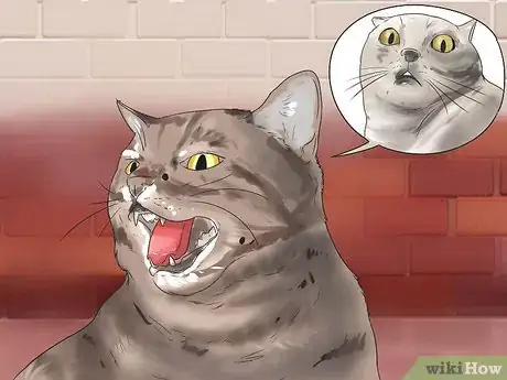 Imagen titulada Get Your Cat to Stop Hissing Step 1