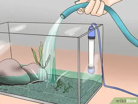 Imagen titulada Take Care of Your Carnival Goldfish Step 4