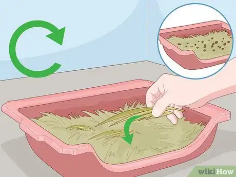 Imagen titulada Care for a New Pet Rabbit Step 19