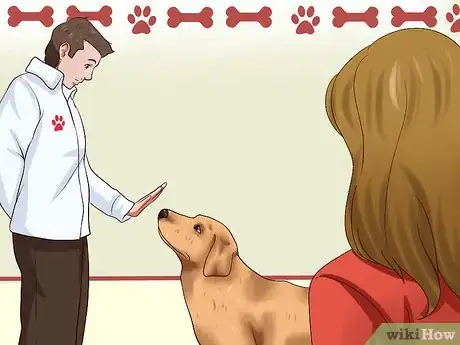 Imagen titulada Get Dogs to Stop Barking Step 10