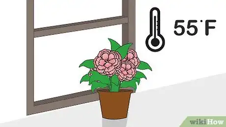 Imagen titulada Care for a Begonia Step 4