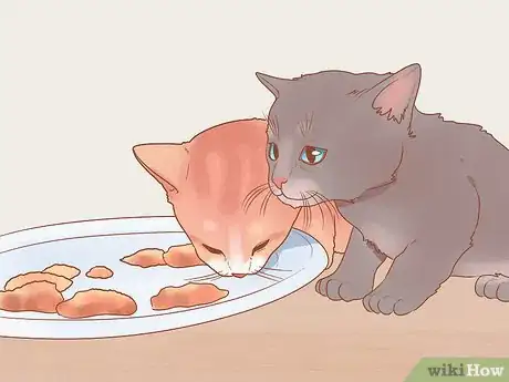 Imagen titulada Take Care of Kittens Step 18