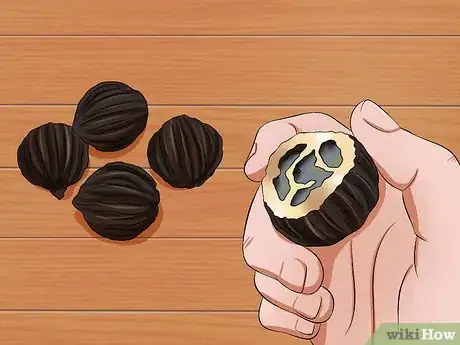 Imagen titulada Treat Dog Worms With Food and Herbs Step 4