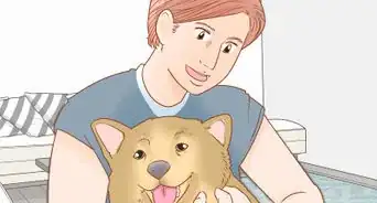 cuidar a un perro