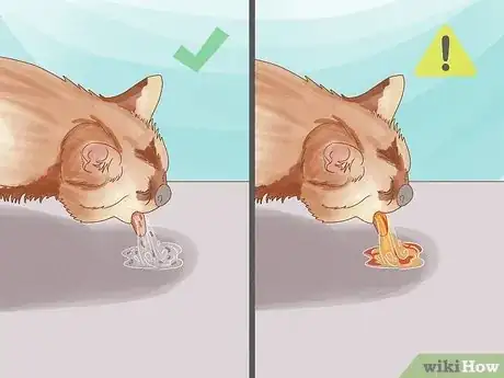 Imagen titulada Give Cat Grass to a Cat Step 16