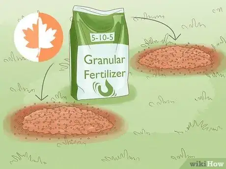 Imagen titulada Plant Bulbs in Grass Step 21