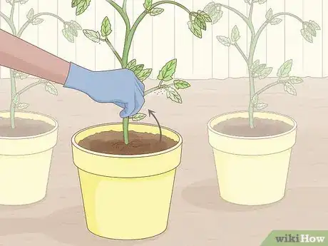 Imagen titulada Get Rid of Red Spider Mites Organically Step 5