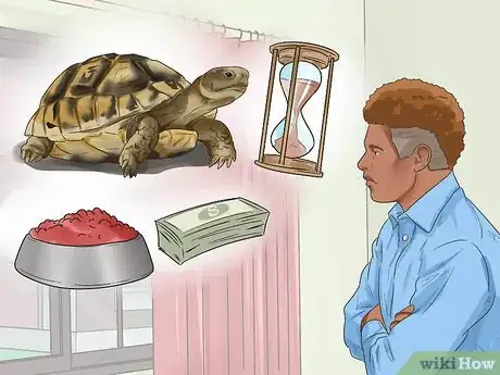 Imagen titulada Buy a Turtle Step 17