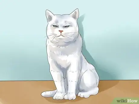 Imagen titulada Tell if Your Cat Is Deaf Step 12