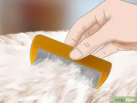 Imagen titulada Get Rid of Fleas Naturally Step 8