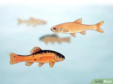 Imagen titulada Build Your Own Fishing Pond Step 15