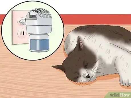 Imagen titulada Care for an FIV Infected Cat Step 11