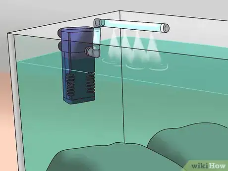 Imagen titulada Take Care of Your Carnival Goldfish Step 5
