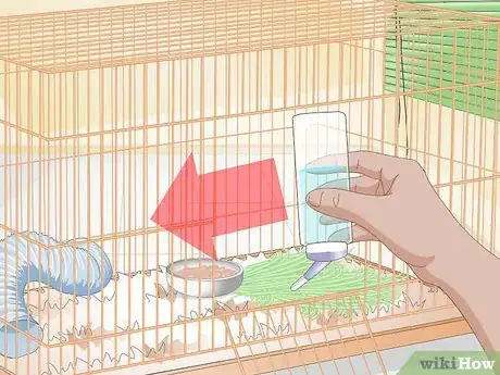 Imagen titulada Clean up After Your Guinea Pig Step 18