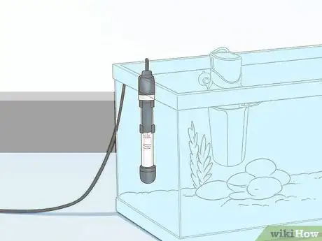 Imagen titulada Care for a Red Eared Slider Turtle Step 11