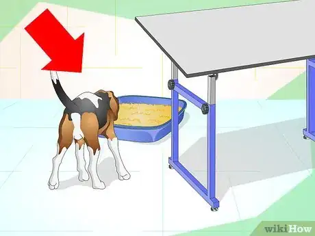 Imagen titulada Litter Train a Dog Step 4