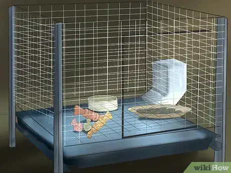 Imagen titulada Get Your Bunny Used to You Step 1