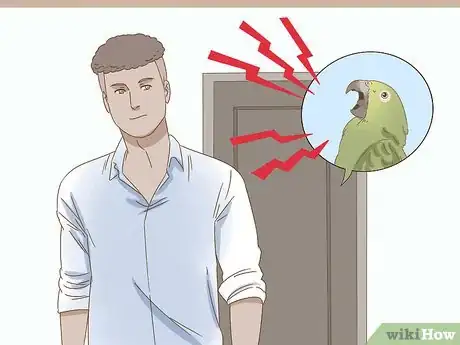 Imagen titulada Calm Down a Bird Step 1