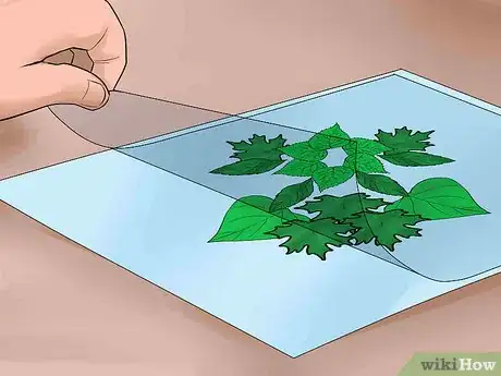 Imagen titulada Make a Leaf Collage Step 11