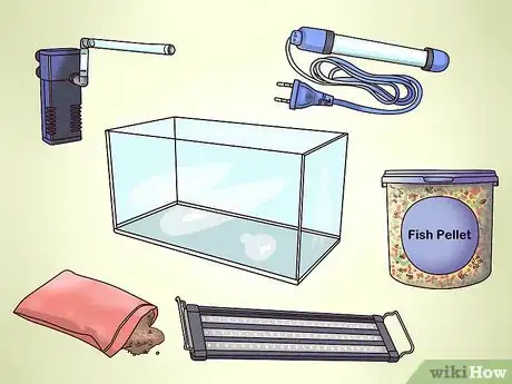 Imagen titulada Take Care of Your Carnival Goldfish Step 1