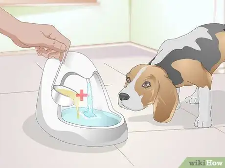 Imagen titulada Feed an Older Dog with Kidney Disease Step 14