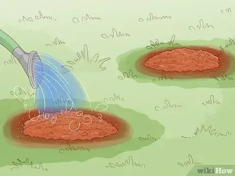 Imagen titulada Plant Bulbs in Grass Step 19