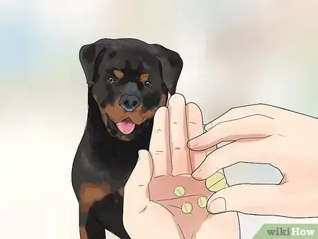 Imagen titulada Comfort Your Sick Dog Step 13