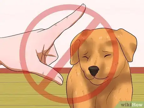 Imagen titulada Get Your Puppy to Stop Biting Step 16