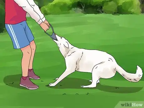Imagen titulada Build a Dog's Muscles Step 1