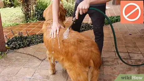 Imagen titulada Wash a Dog Step 1