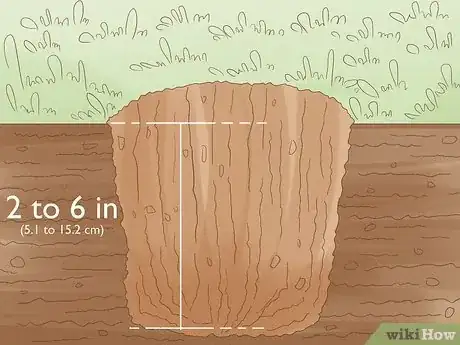 Imagen titulada Plant Bulbs in Grass Step 15
