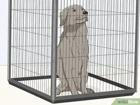 Imagen titulada Eliminate Fleas from Your Home for Free Step 1