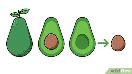 Imagen titulada Plant an Avocado Tree Step 1