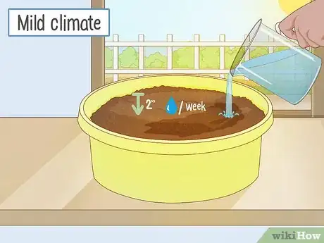 Imagen titulada Grow Onions Indoors Step 6