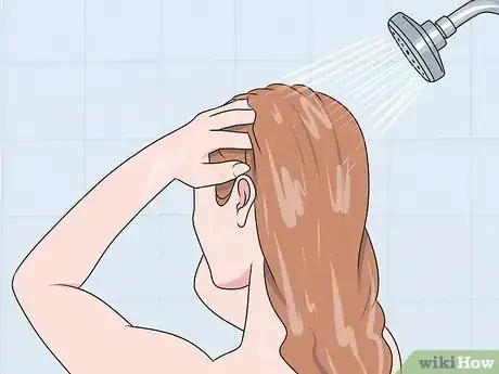 Imagen titulada Tame Poofy Hair Step 1.jpeg