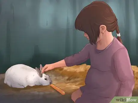 Imagen titulada Get Your Bunny Used to You Step 9