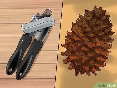 Imagen titulada Shell Pine Nuts Step 5