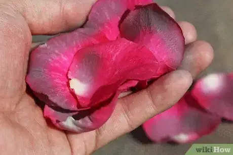 Imagen titulada Dry Rose Petals Step 7