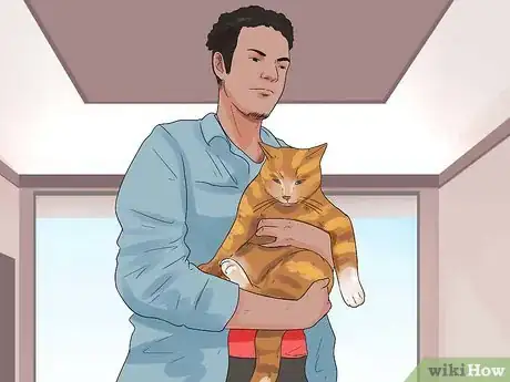 Imagen titulada Get Your Cat to Stop Hissing Step 6