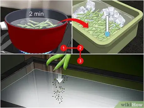 Imagen titulada Feed a Snail Step 10