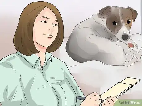 Imagen titulada Encourage Your Dog to Sleep in Your Bed Step 11