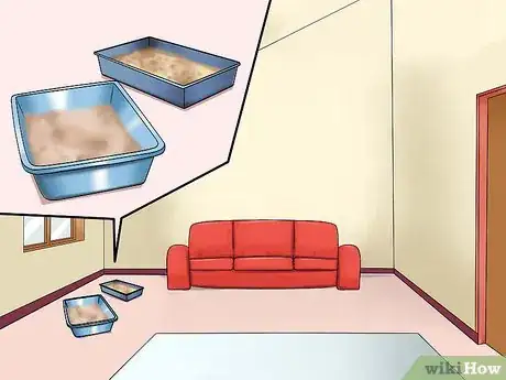 Imagen titulada Have Multiple Cats Step 3